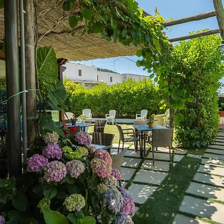 Bed and Breakfast Capri Dreaming