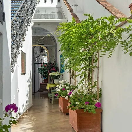 فندق مبيت وإفطار Capri Dreaming 3*
