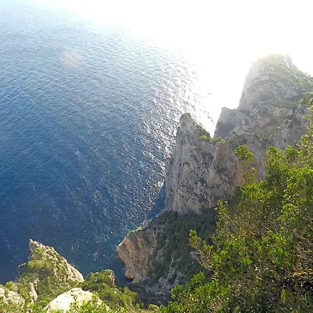 Capri Dreaming