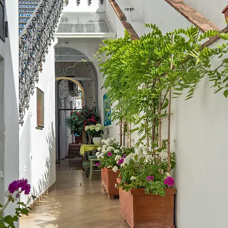 Capri Dreaming 4* Anacapri (Isola di Capri)