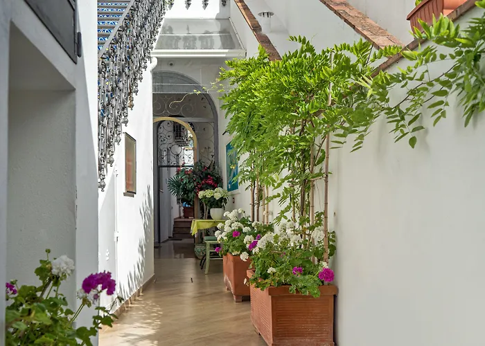 Capri Dreaming 4* Anacapri (Isola di Capri)