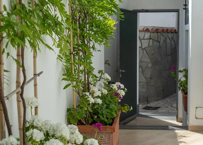 Capri Dreaming Bed and breakfast 4*